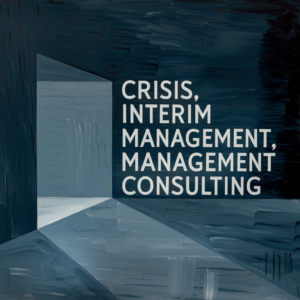Krizový a interim management, image obrázek